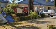 Pomnik przyrody runął na ulicę w centrum miasta. Istne pobojowisko