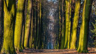 Głuchowo: Lofry z kejtrem! To dopiero była dobra zabawa i przygoda z psem u boku! Tak poznawali urokliwe zakątki parku-arboretum