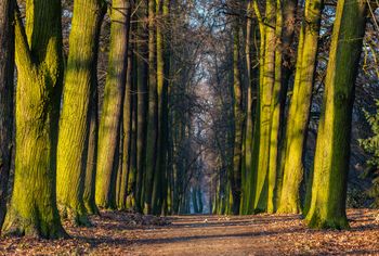 Głuchowo: Lofry z kejtrem! To dopiero była dobra zabawa i przygoda z psem u boku! Tak poznawali urokliwe zakątki parku-arboretum