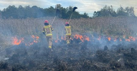 Pożar w Biebrzańskim Parku Narodowym. "Obszar sięga 70 ha"