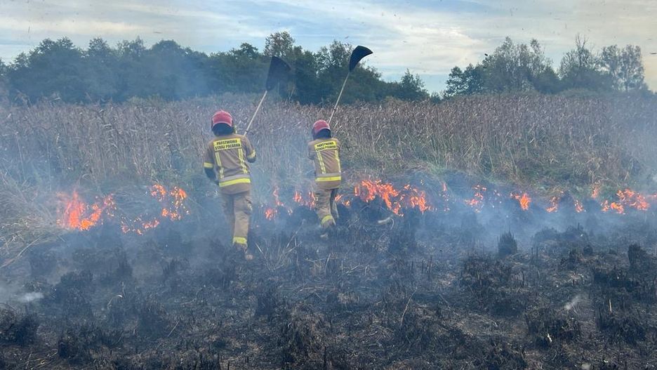 Pożar w Biebrzańskim Parku Narodowym