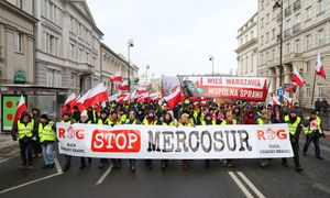 Ekspert o umowie UE-Mercosur: szansa dla polskich przedsiębiorców