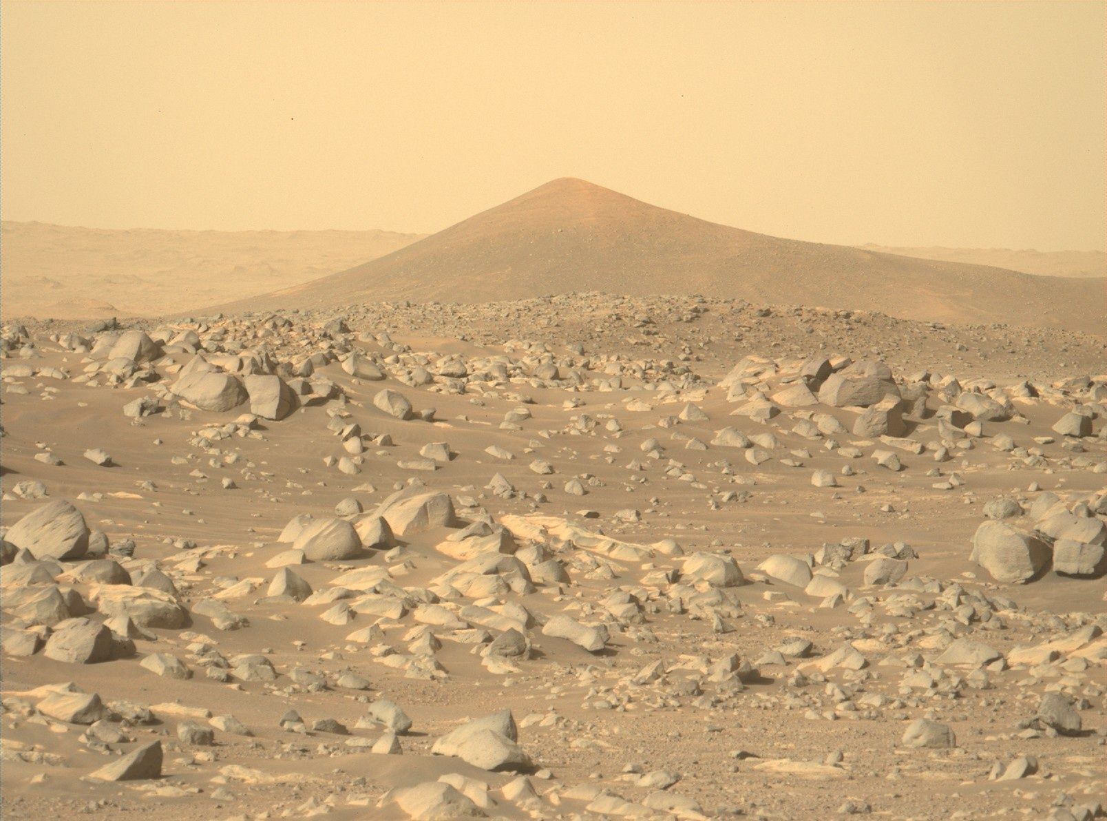Mars Perseverance Santa Cruz