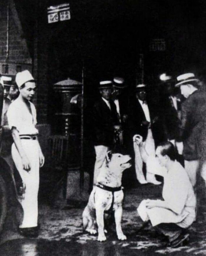 Rzadkie zdjęcia psa Hachiko, który czekał na swojego pana aż do śmierci 10