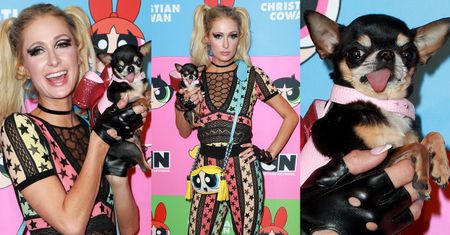 Paris Hilton i jej pies Diamond Baby bawią się na pokazie mody