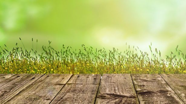 Odśwież podłoże swojego domu. Płytki podłogowe są praktyczne i łatwe w montażu 1