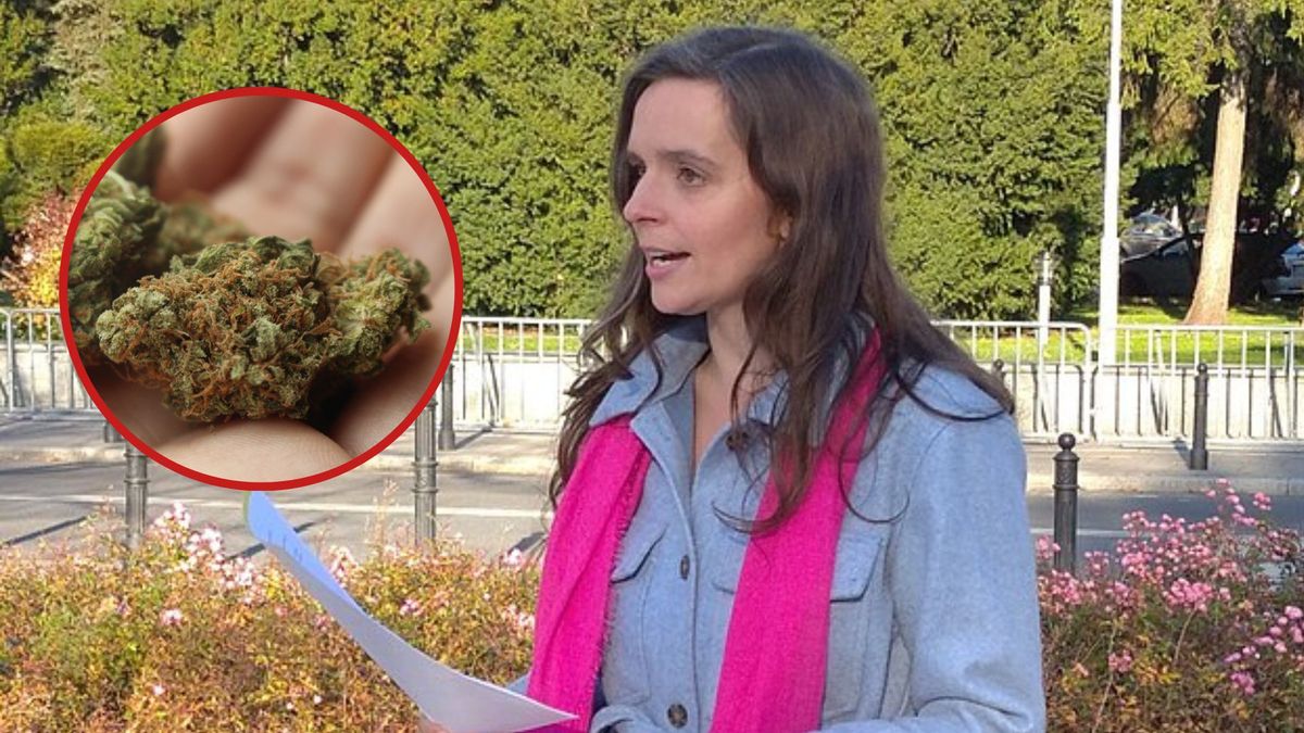 Incydent na Podlasiu i debata o depenalizacji marihuany
