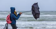 Armagedon na Pomorzu. "Dynie latają po polu"