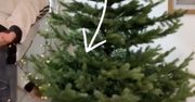 "Robisz to źle". Ubierała choinki w pracy. Pokazała prosty trik