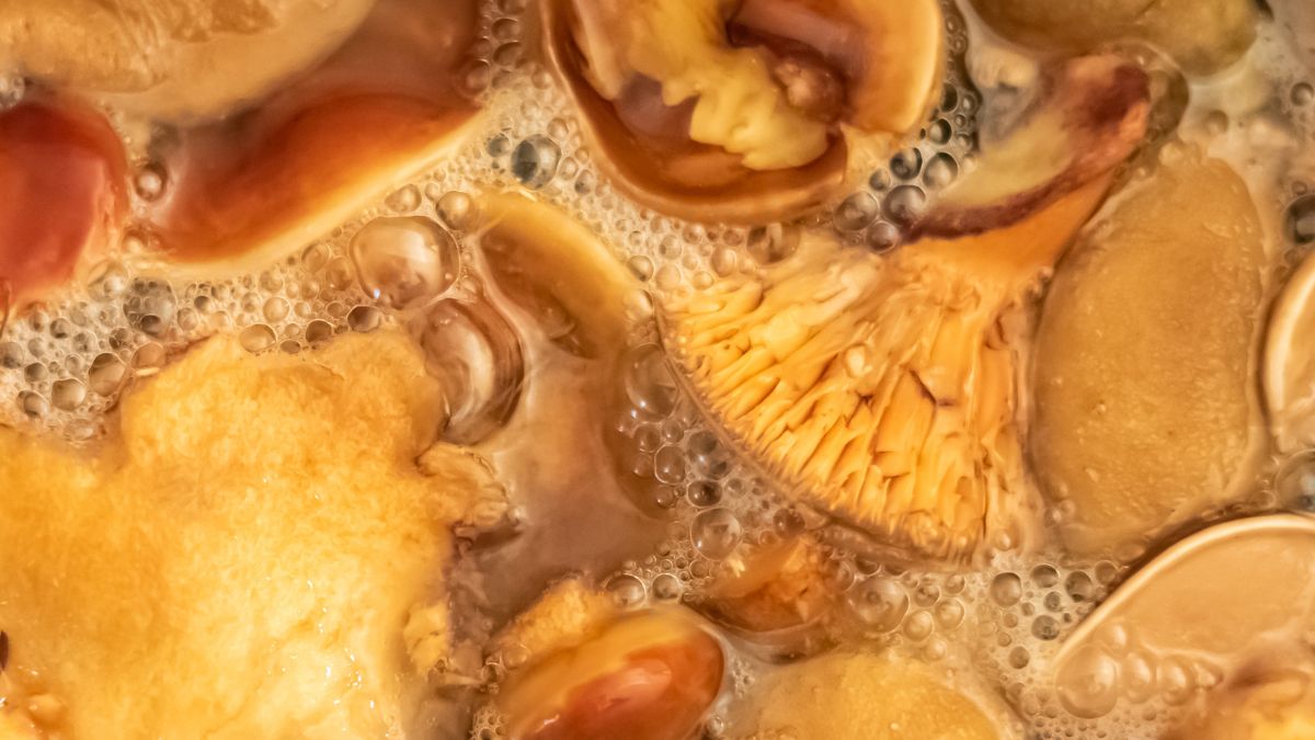 To częsty błąd przy obróbce grzybów