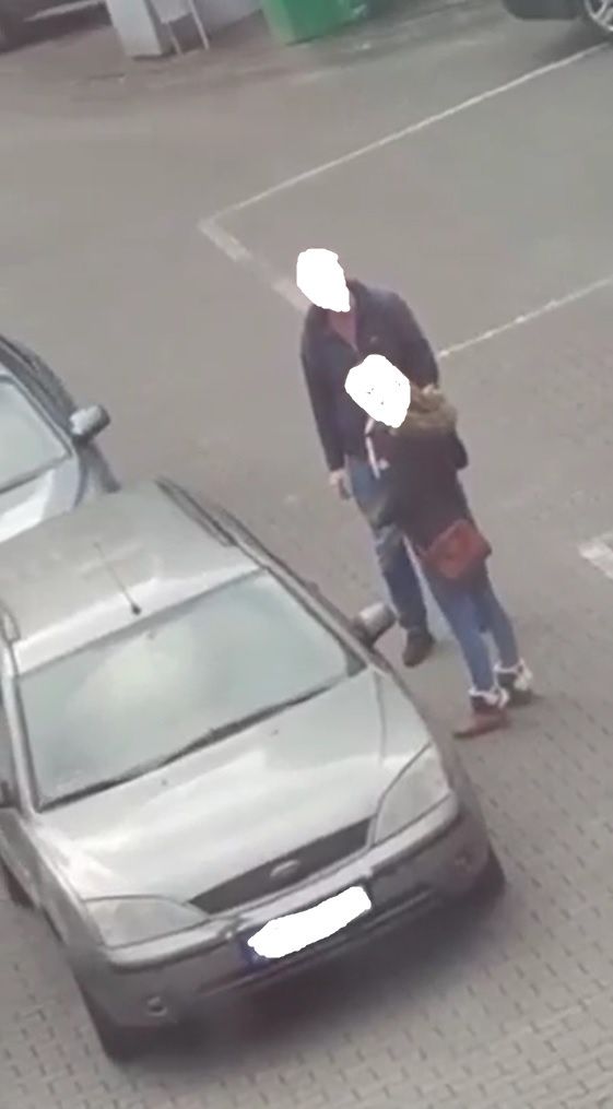 Alpaka jest już "spakowana" w samochodzie