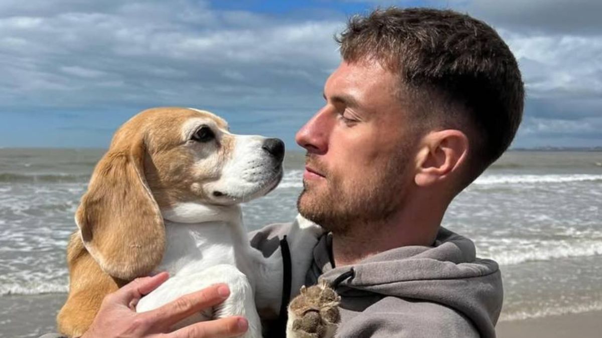 Aaron Ramsey wyrzucony z klubu. Szukał zaginionego psa.