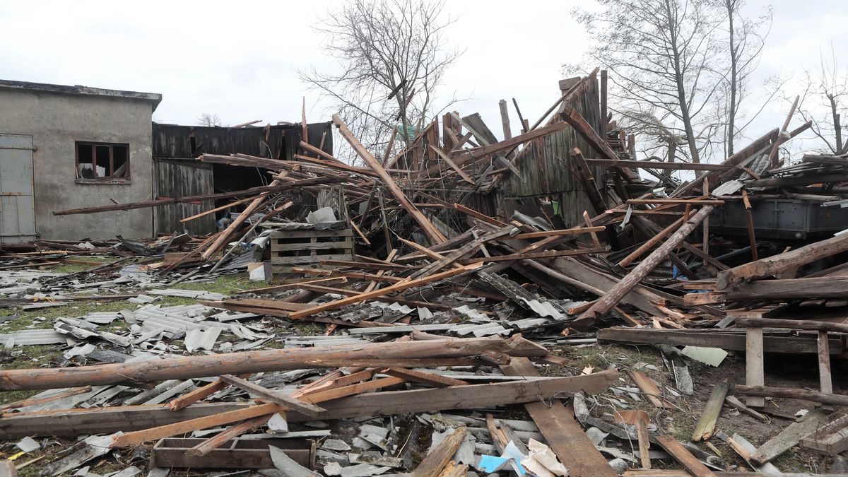 Zdjęcie ilustracyjne 