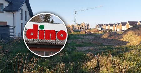 Dino na środku osiedla? Mieszkańcy wkurzeni. Widok na betonowy płot