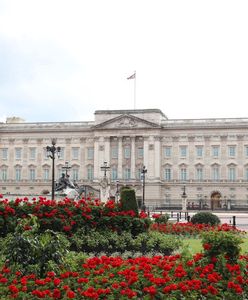 Szykują się zwolnienia w Pałacu Buckingham? Elżbieta II może nie wrócić do londyńskiej rezydencji