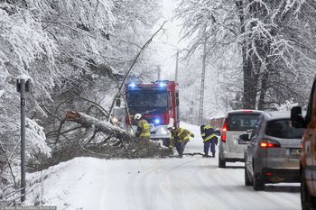 Śnieżyce odcięły ludzi od świata. Najgorsza sytuacja w jednej części Polski