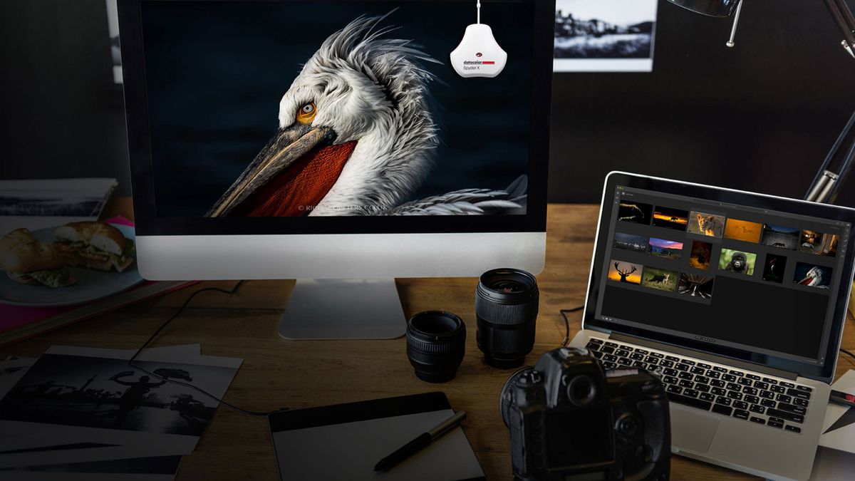 Datacolor prezentuje nowe zestawy SpyderX  do kalibracji koloru 1