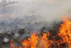 Ogień w Biebrzańskim Parku Narodowym. To jeden z największych skarbów polskiej przyrody