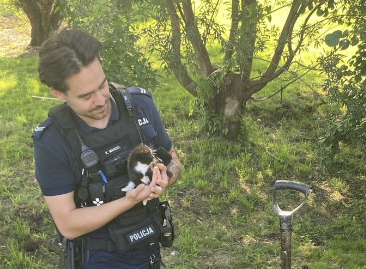 Policjanci uratowali kota zakopanego żywcem w ogrodzie przez 51-letnią kobietę