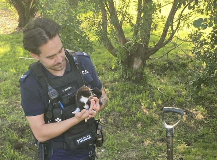 kot, znęcanie sie, policja, otoz animals Kobieta zakopała kota żywcem. Nie wytrzymała tego jej córka