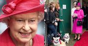 Pełne luksusu życie psów królowej Elżbiety II: prywatny apartament, wykwalifikowani lokaje, wykwintne dania serwowane przez kucharzy