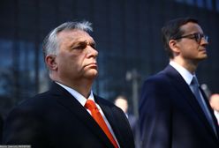 Media: Orban inwigiluje dziennikarzy. Czy Polska też korzysta z Pegasusa?