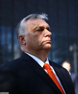 Media: Orban inwigiluje dziennikarzy. Czy Polska też korzysta z Pegasusa?