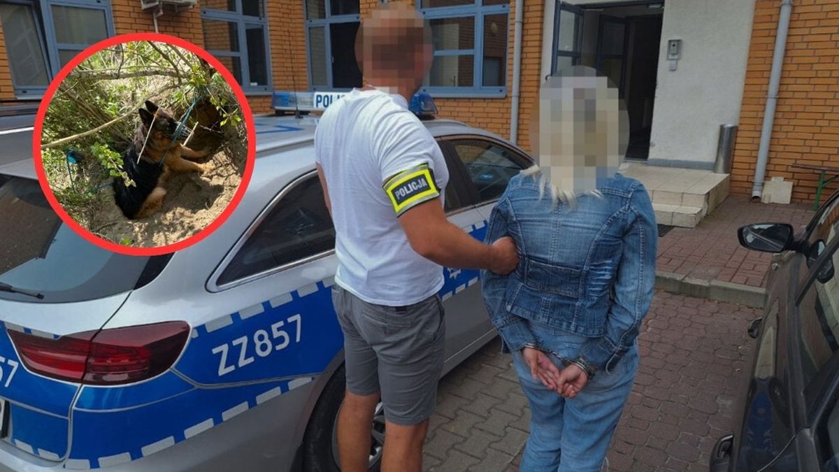 Policjanci zatrzymali kobietę po zarzutem znęcania się nad psem