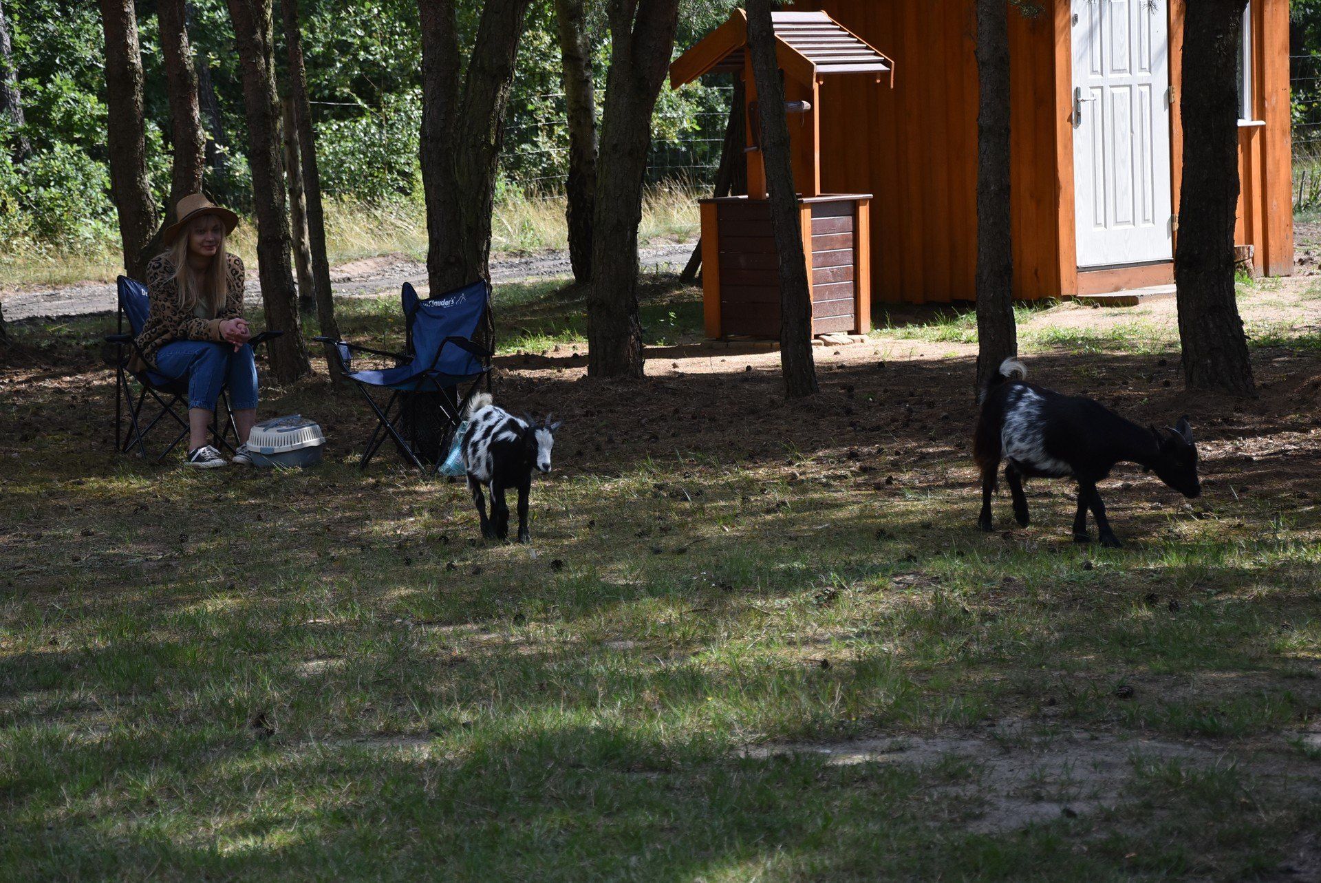 Podleśna Zagroda - Mini ZOO Mieścisko