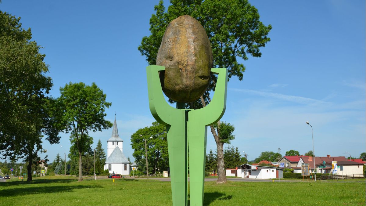 Pomnik ziemniaka w Biesiekierzu.