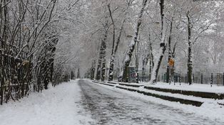 Śląskie: Intensywne opady śniegu sparaliżowały drogi