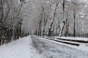 Śląskie: Intensywne opady śniegu sparaliżowały drogi