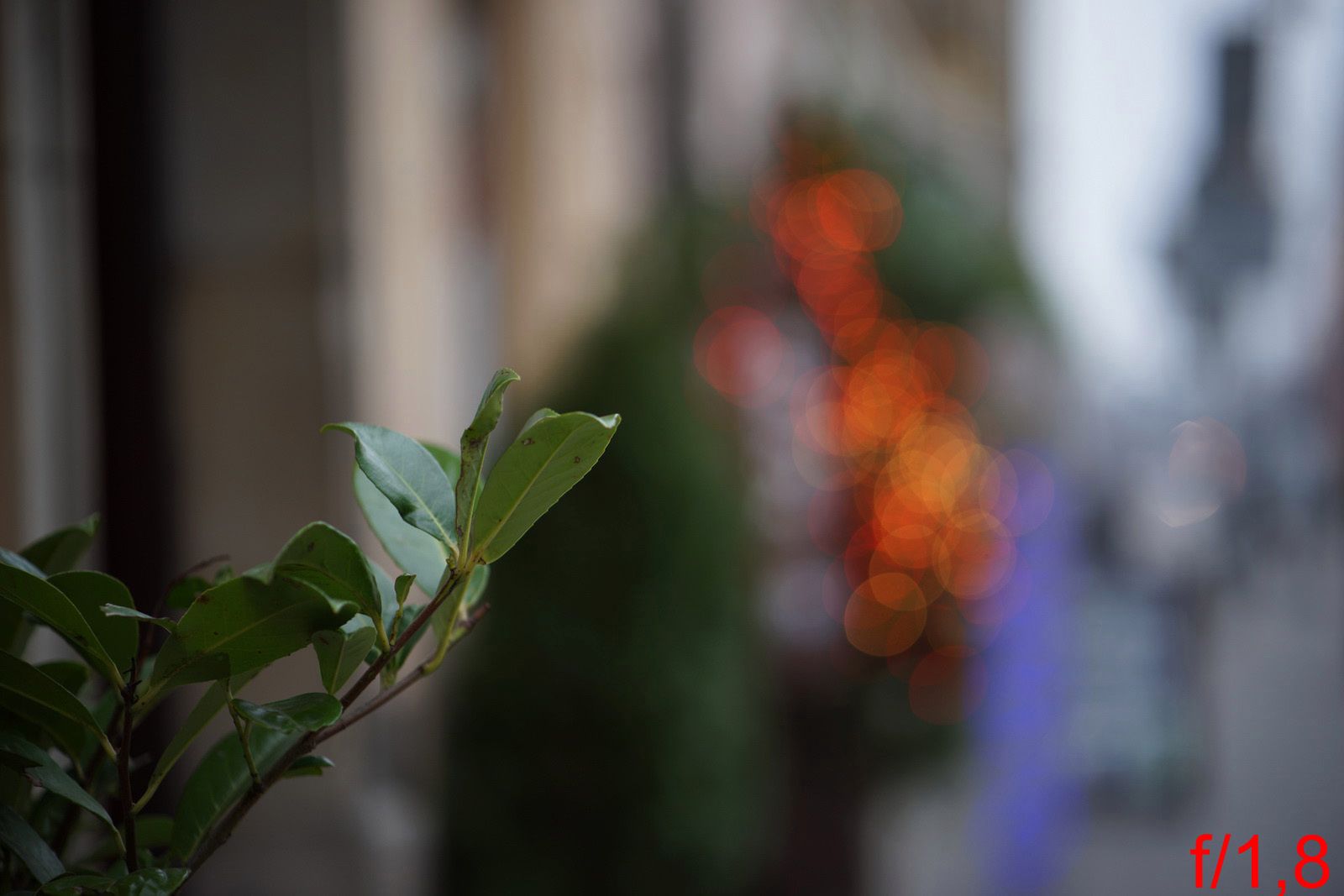 Zeiss Batis 85 mm f/1,8 [test] 16
