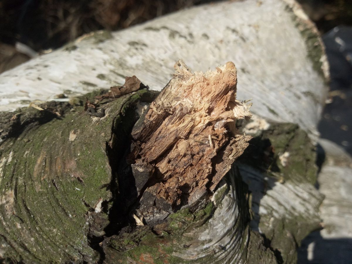 TP-Link Neffos C7 – test bardzo udanego smartfonu za 500 zł 21