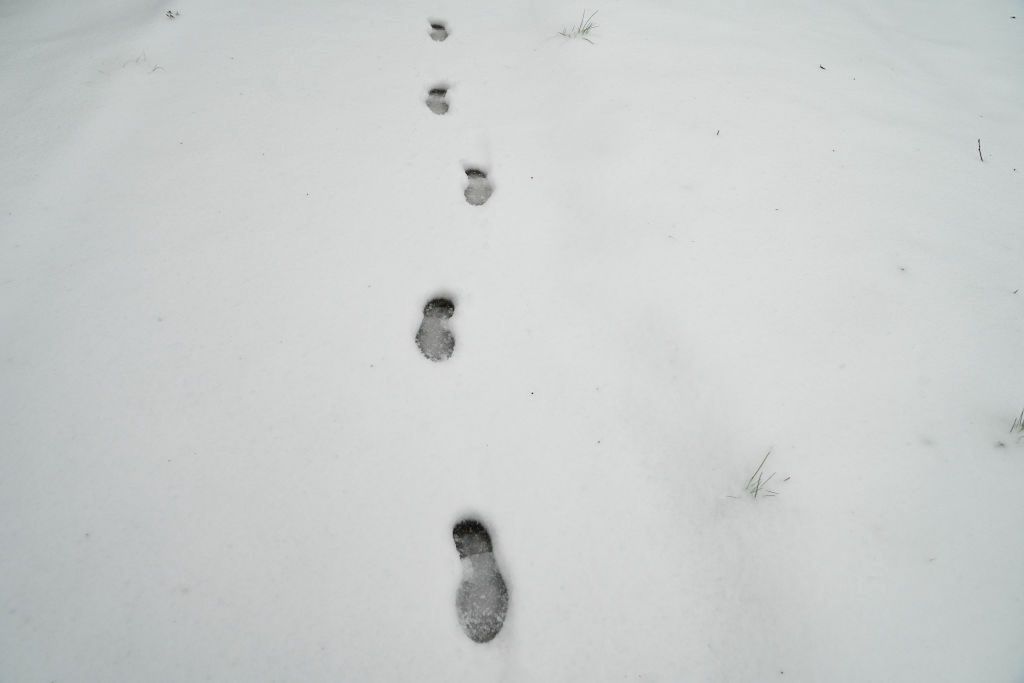 Zdradziły ich ślady na śniegu. Podejrzani w rękach policji