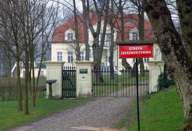 Obraz