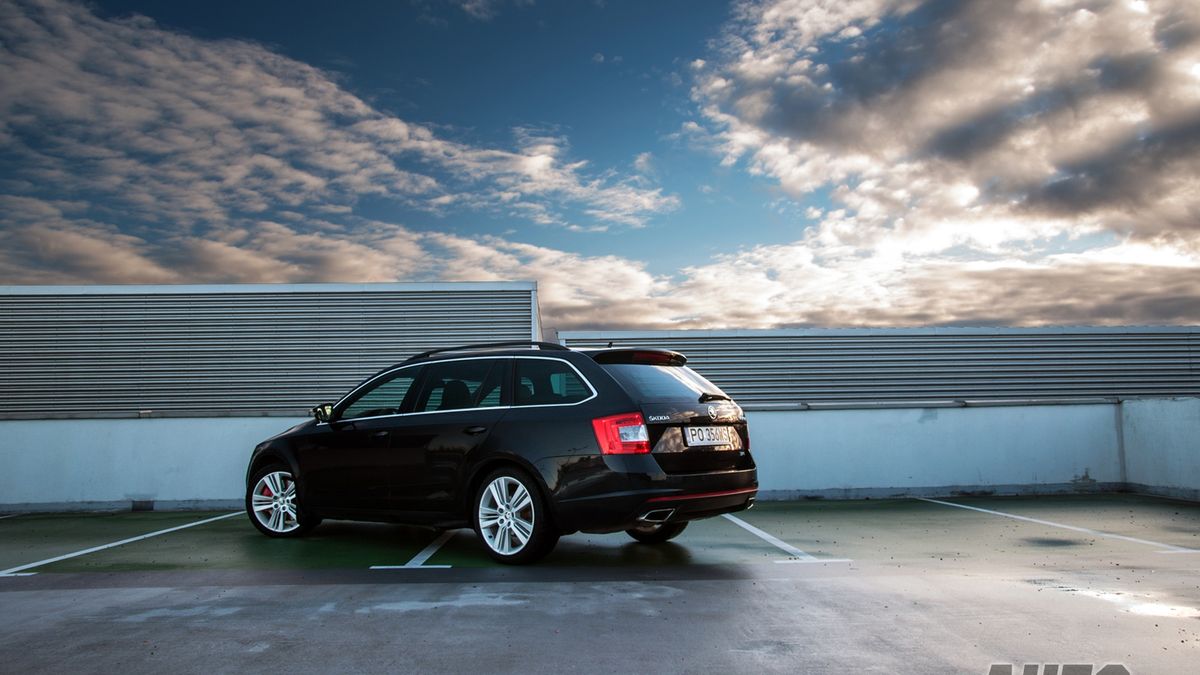 Zdjęcie ilustracyjne do artykułu