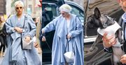 Lady Gaga ubrała psa w sukienkę (ZDJĘCIA)