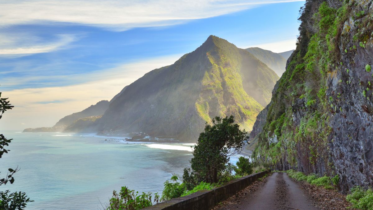 Denga na Maderze. Służby alarmują