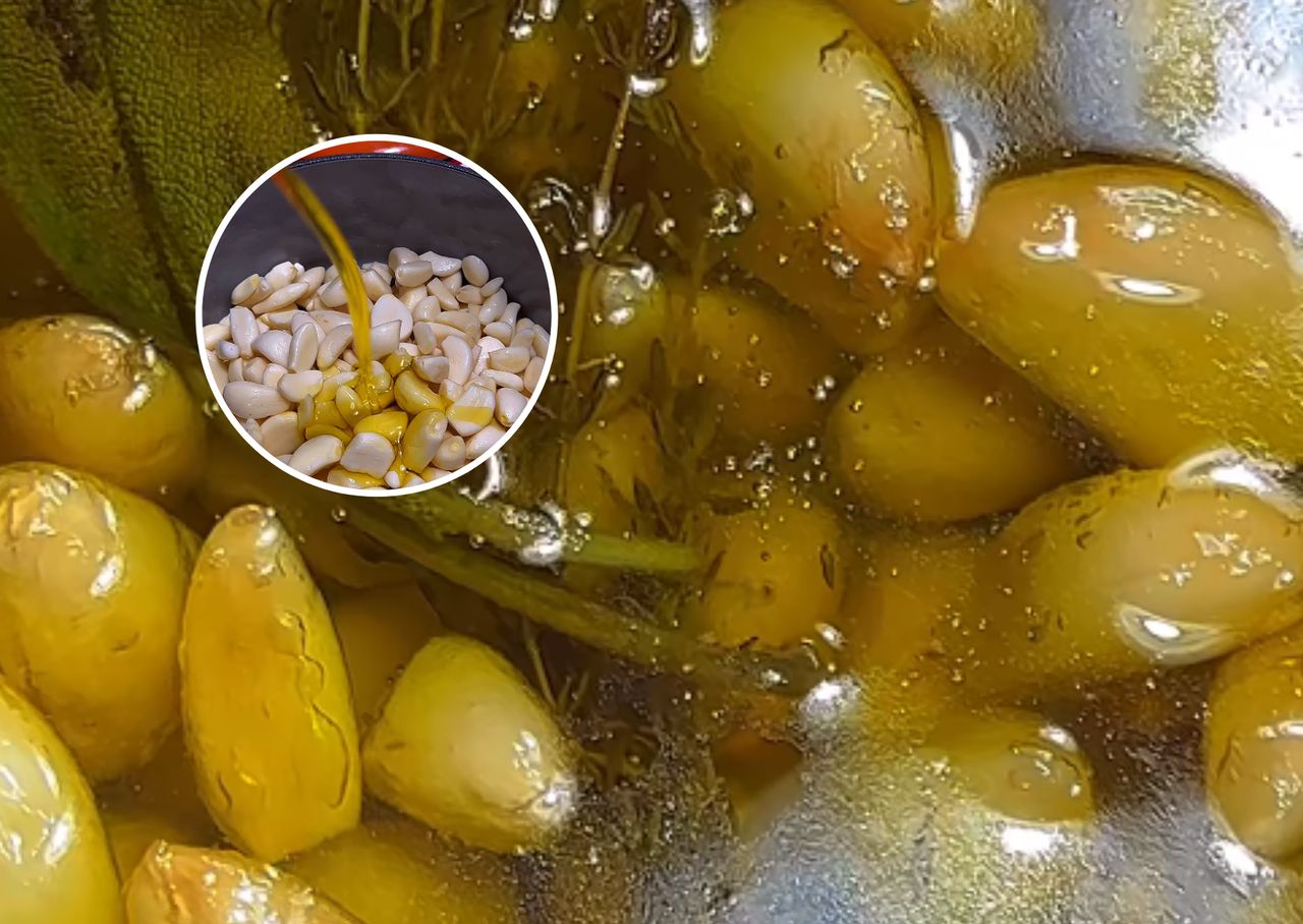 Honey and garlic. TikTok's 'liquid gold' that's taking the world by storm