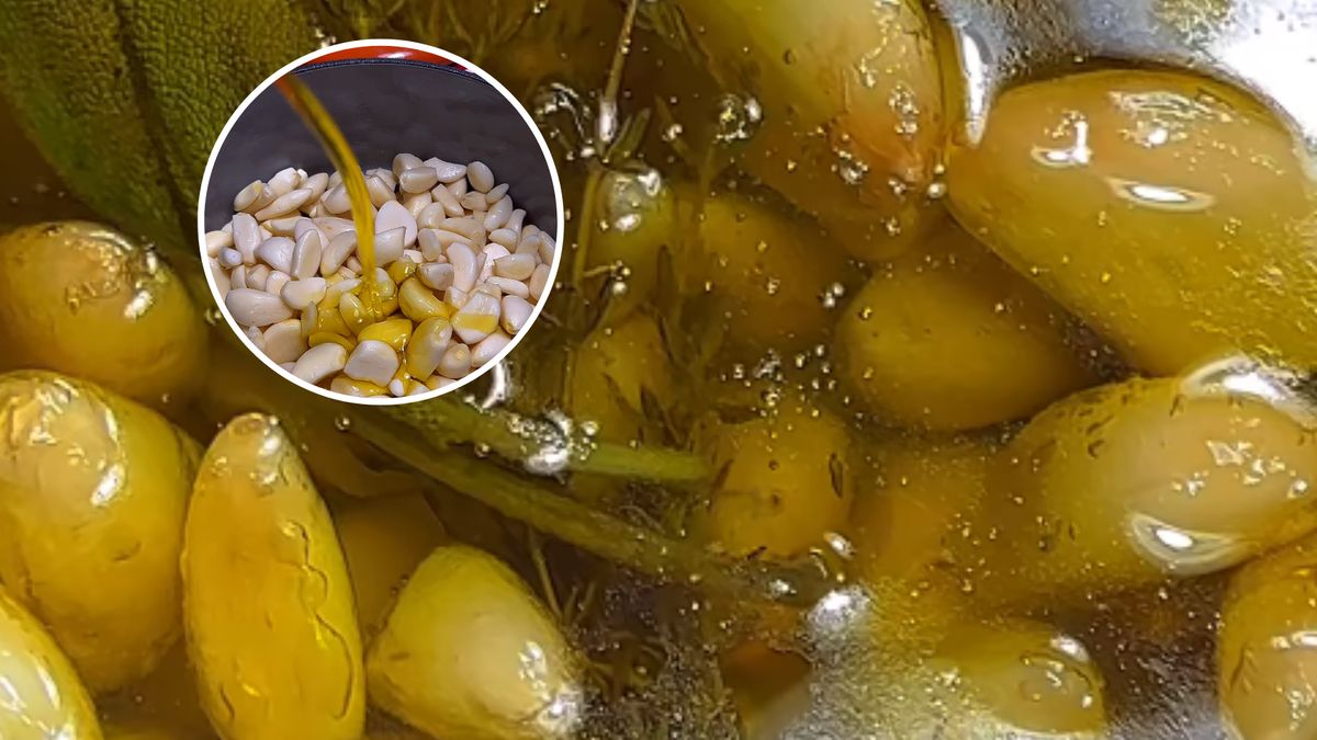 Czosnek i miód to mocarze na odporność