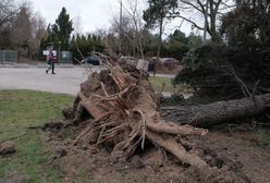 To jeszcze nie koniec. Nadchodzi kolejna wichura