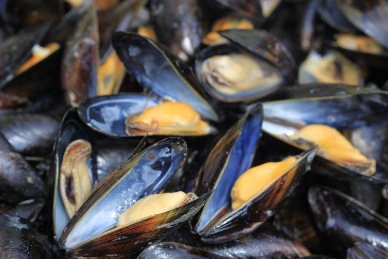 Jedzenie, które na pewno cię nie zamuli (mule)