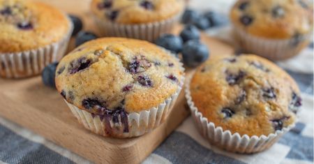 Puszyste muffinki z borówkami. Można jeść je bez wyrzutów sumienia