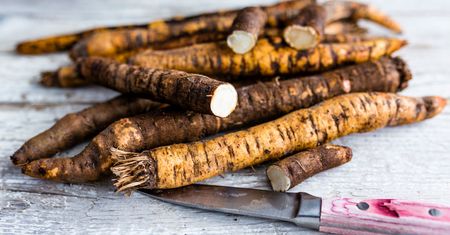 Superfood dla naszych jelit, który omijamy na targowiskach. Skorzonera - dlaczego warto ją jeść?