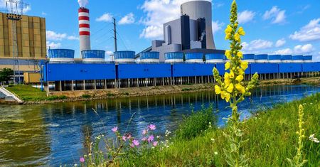 Energia musi płynąć, dlatego dbamy o rzekę. Wisła w okolicach Kozienic pod lupą naukowców