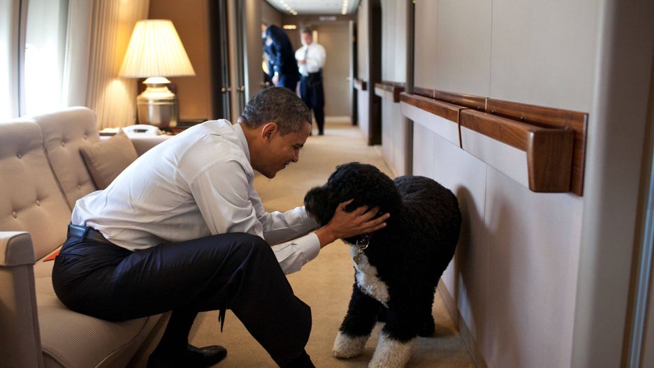 Barack Obama żegna wiernego przyjaciela