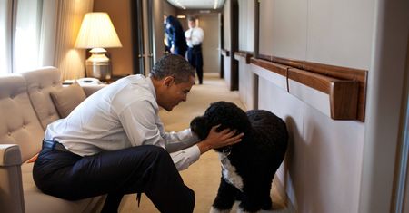 Barack Obama żegna wiernego przyjaciela