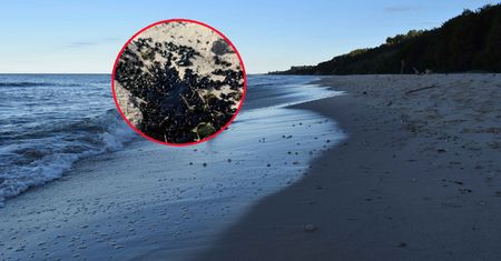 Czarna substancja na bałtyckich plażach. Turyści mają trzymać się z daleka