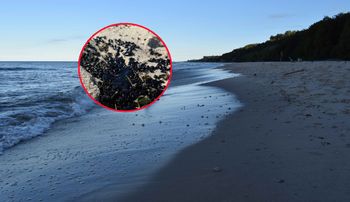 Czarna substancja na bałtyckich plażach. Turyści mają trzymać się z daleka